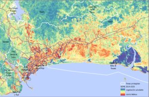 Radiografía satelital: transformación en los humedales de Panamá Este